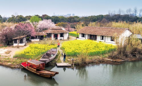 徐報(bào)融媒帶您 春游 了③ 春暖花開(kāi),別來(lái)無(wú)恙